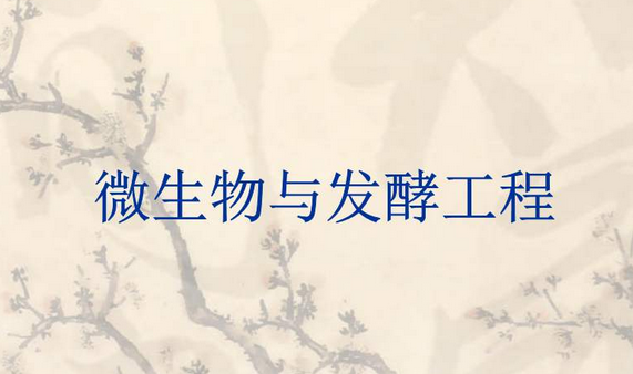 螺杆鼓风机，微生物发酵，微生物发酵使用鼓风机